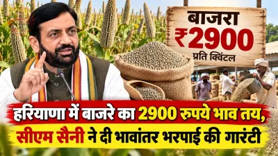 हरियाणा में बाजरे का 2900 रुपये भाव तय, सीएम सैनी ने दी भावांतर भरपाई की गारंटी