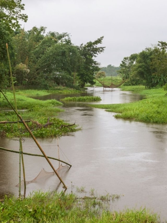 हरियाणा में कल का मौसम कैसा रहेगा? जानिए IMD अपडेट