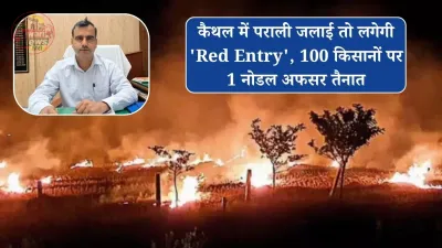 कैथल में पराली जलाई तो लगेगी 'Red Entry', 100 किसानों पर 1 नोडल अफसर तैनात