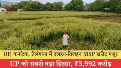 UP, कर्नाटक, तेलंगाना में दलहन-तिलहन की ₹5,548 करोड़ MSP खरीद मंज़ूर