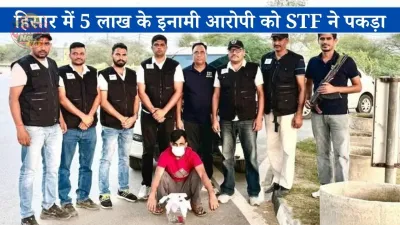 हिसार में 5 लाख के इनामी आरोपी को STF ने पकड़ा, पिस्तौल और कारतूस बरामद