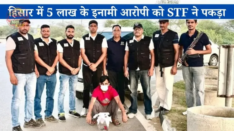 हिसार में 5 लाख के इनामी आरोपी को STF ने पकड़ा, पिस्तौल और कारतूस बरामद