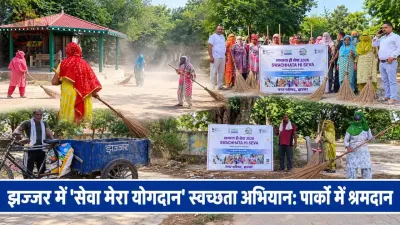 'सेवा मेरा योगदान': झज्जर में गांधी जयंती पर स्वच्छता महाअभियान, श्रमदान से बदला पार्कों और शहर का नजारा