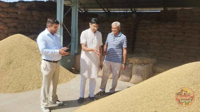लाडवा मंडी में 4.64 लाख क्विंटल धान की खरीद, 51% फसल का उठान